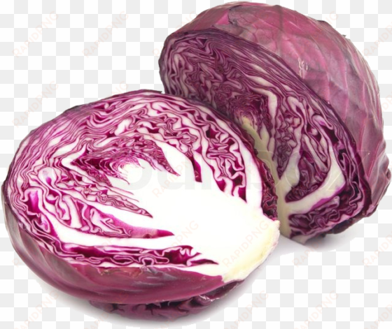 purple cabbage png image background - purple cabbage png