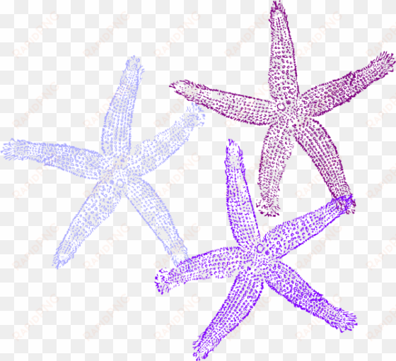 purple clipart sea star - purple and blue starfish