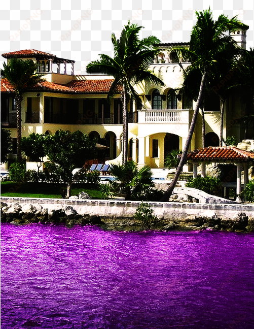purple codeine transparent lean double cup syrup sizzurp - mansion in miami