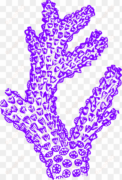 purple coral clip art - coral clip art