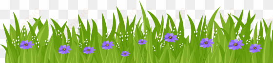 purple flower clipart grass - cartoon grass transparent background