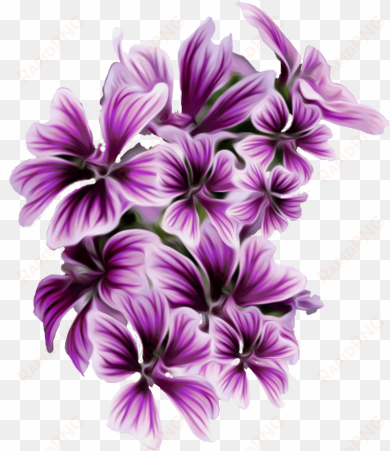 purple flower png - purple flower png png