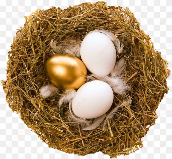 quail bird nest egg bird nest - golden egg necklace, golden egg jewelry, golden egg