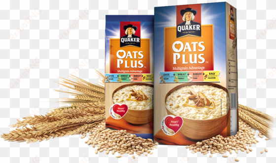 quaker oats plus - quaker oats plus - multigrain advantage - 300 gm