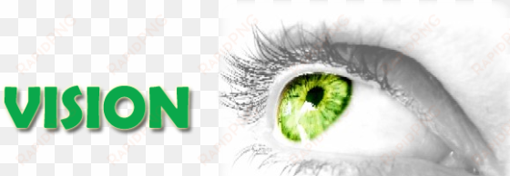 quantum vision banner