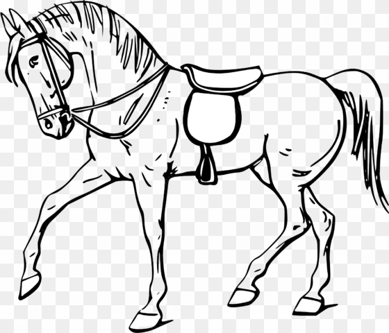 quarter horse head clip art free clipart images - desenhos para colorir cavalo