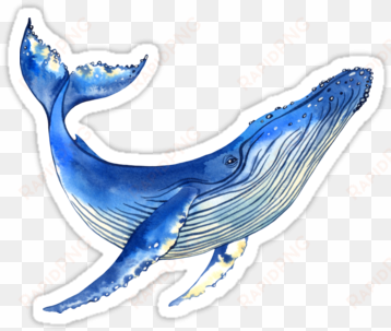 quot watercolor whale quot stickers by evgeniia zagreeva - whale sticker
