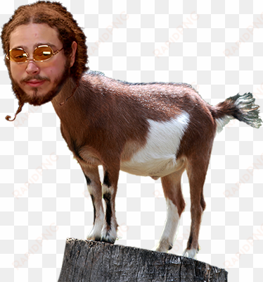 Quote - Post Malone As A Goat transparent png image