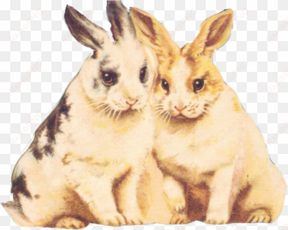 rabbit clipart fur - clipart bunnies