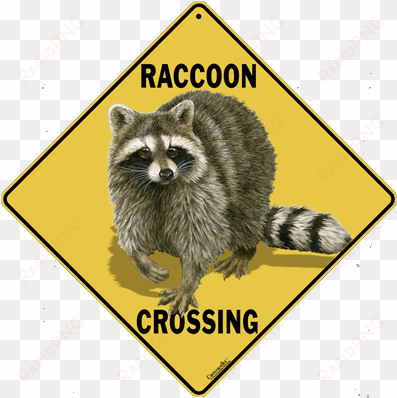 raccoon crossing - crossing sign