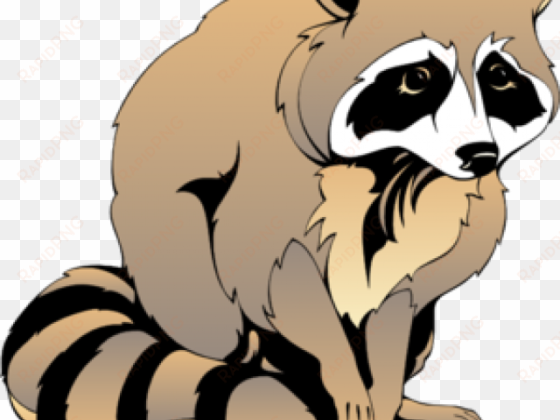 racoon clipart - black and white raccoon clipart