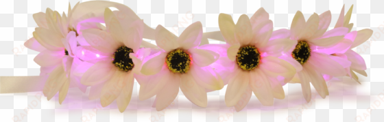 rainbow flower crown png - flower head band png