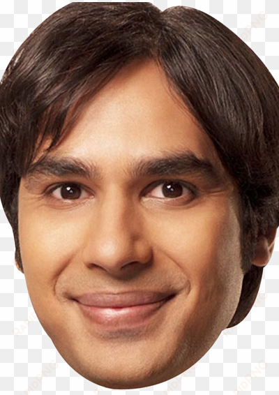 raj big bang theory celebrity face mask fancy dress - rajesh koothrappali