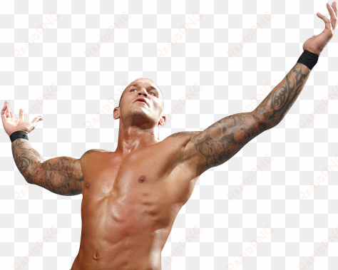 randy orton resolution - randy orton rko transparent