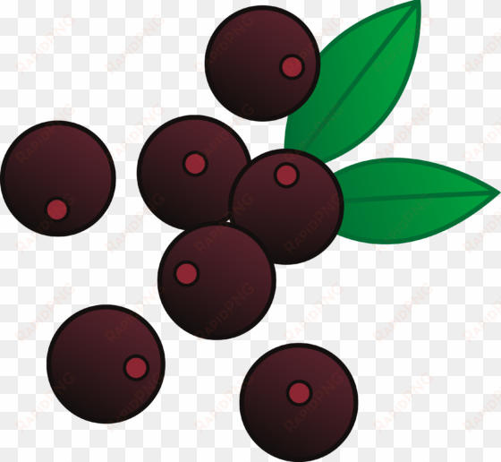 raspberries clipart raspberry fruit - berry clipart