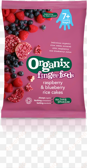 raspberry & blueberry rice cakes packshot - ellas kitchen rice cakes