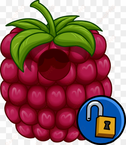 raspberry costume - club penguin mp3000