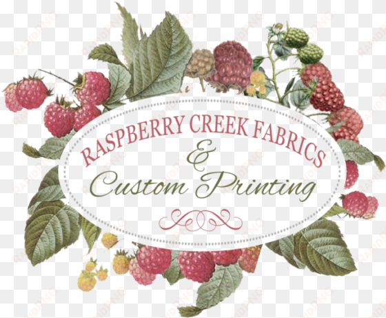raspberry creek fabrics - green stripe floral fabric