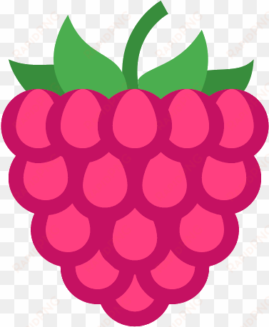 raspberry icon