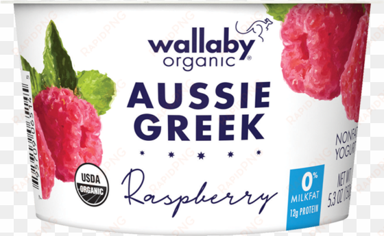 raspberry organic greek nonfat yogurt - wallaby yogurt