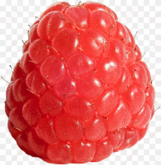 raspberry png picture - raspberry png