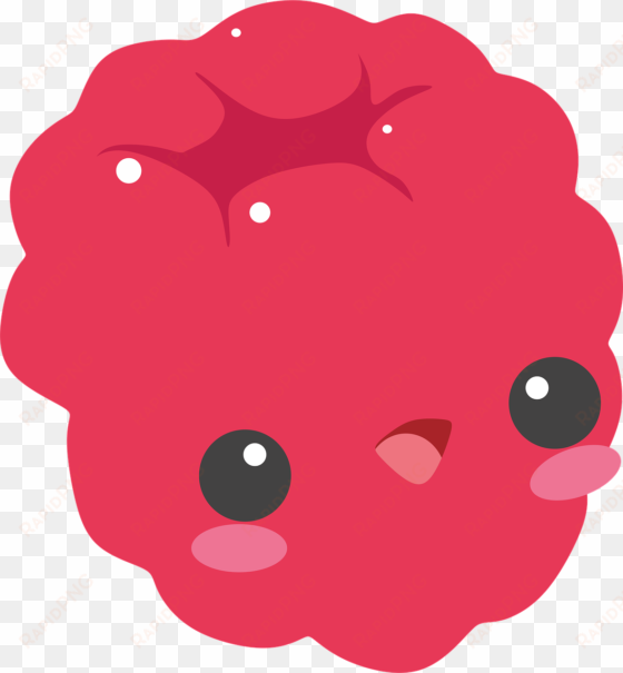 raspberry raspberries red - cute raspberry