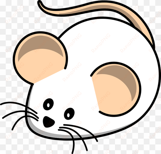 rat mouse clipart white - mice cartoon images no backgroud