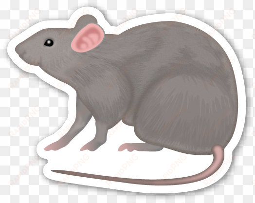 rat - rat emoji sticker