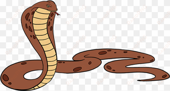 rattlesnake clipart simple snake - king cobra drawing png