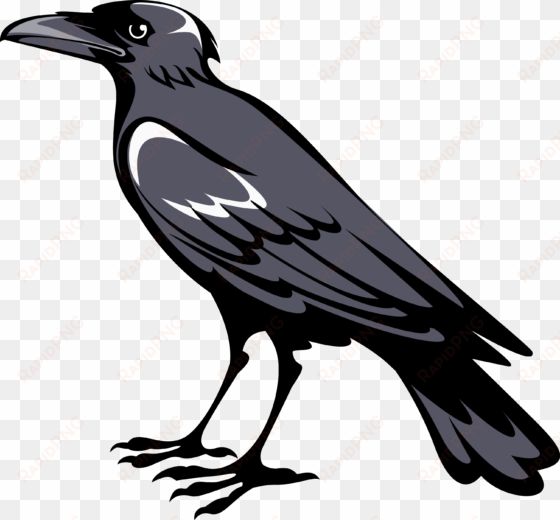 raven/crow - coat of arms crow