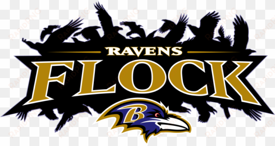 ravens flock - we are the flock ravens