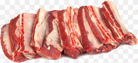 raw meat transparent png - beef ribs raw