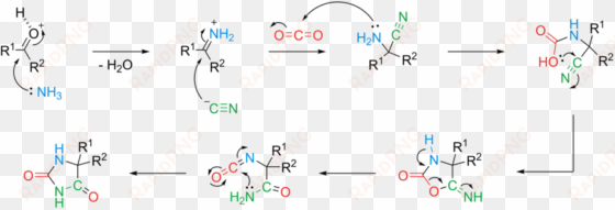 reaction mechanism[edit] - bucherer berg synthesis