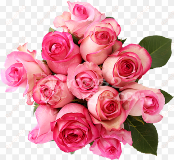 real bouquet png - fresh roses