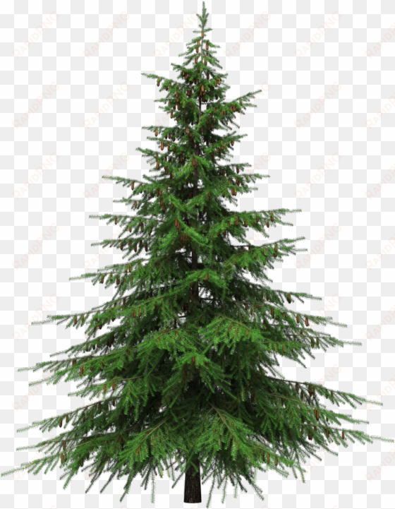 real christmas tree png - natural cut artificial christmas trees
