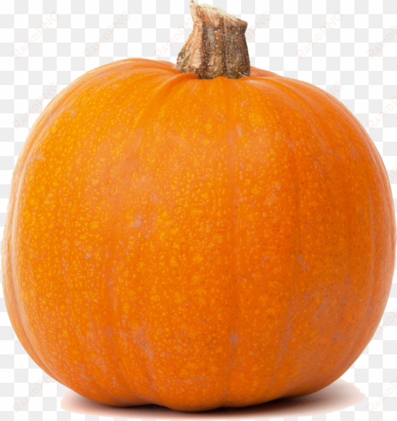 real pumpkin transparent png - pumpkin clipart transparent background