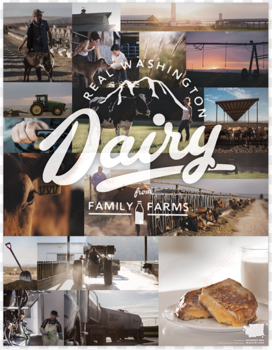 real washington dairy poster thumbnail washington state - flyer