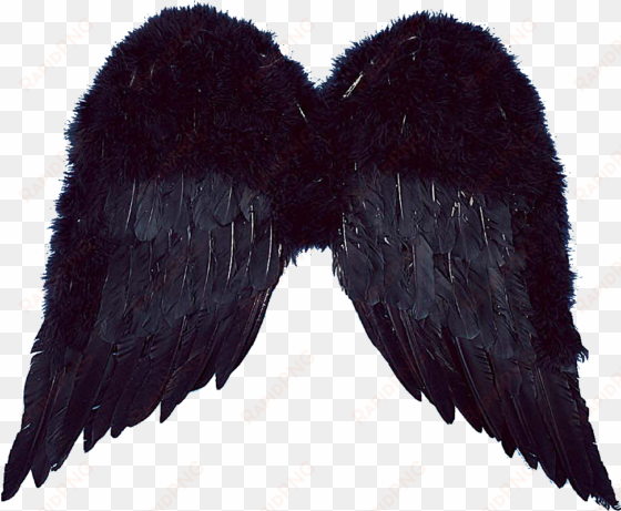 realistic angel wings png for kids - png edit angel wings