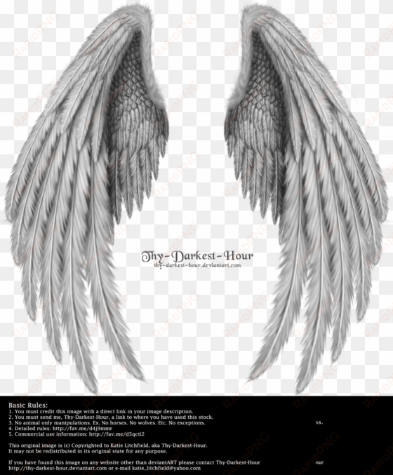 realistic angel wings side view download - folded wings