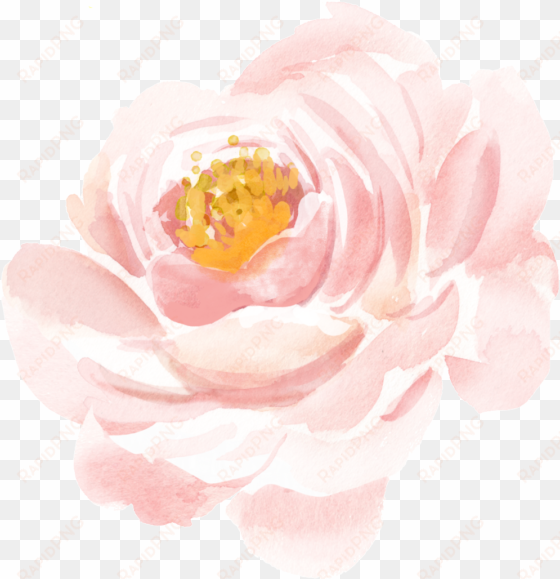 realistic watercolor flower material - pink