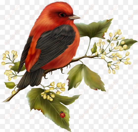 red and black bird free clipart - free clip art birds