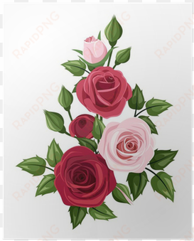Red And Pink Roses - Rose Vector transparent png image