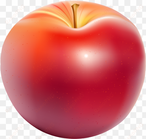 red apple png clip art image - clip art