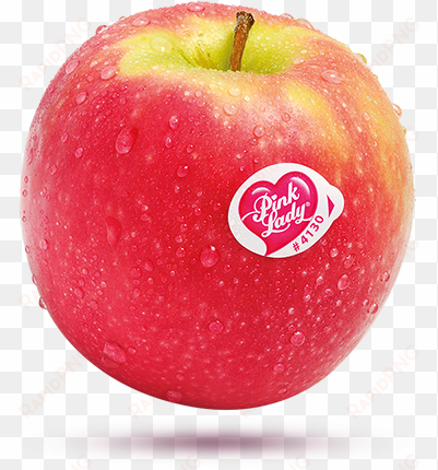red apple png free download - pink lady basil kombucha