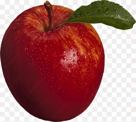 red apple png image - apple png