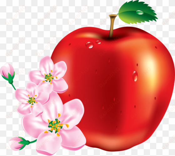 red apple png vectors - apple images download