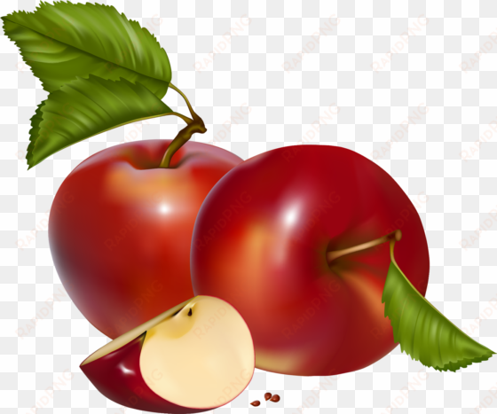 red apples png clipart - apples clipart png