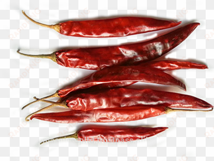 red chilly - wonder hot chilli