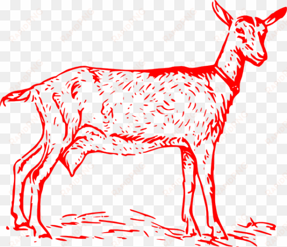 red goat outline clip art - red goat png