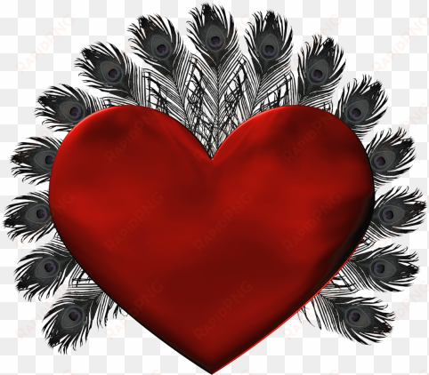 Red Heart With Black Feathers Png Clipart - Aalo Qosol Badan transparent png image